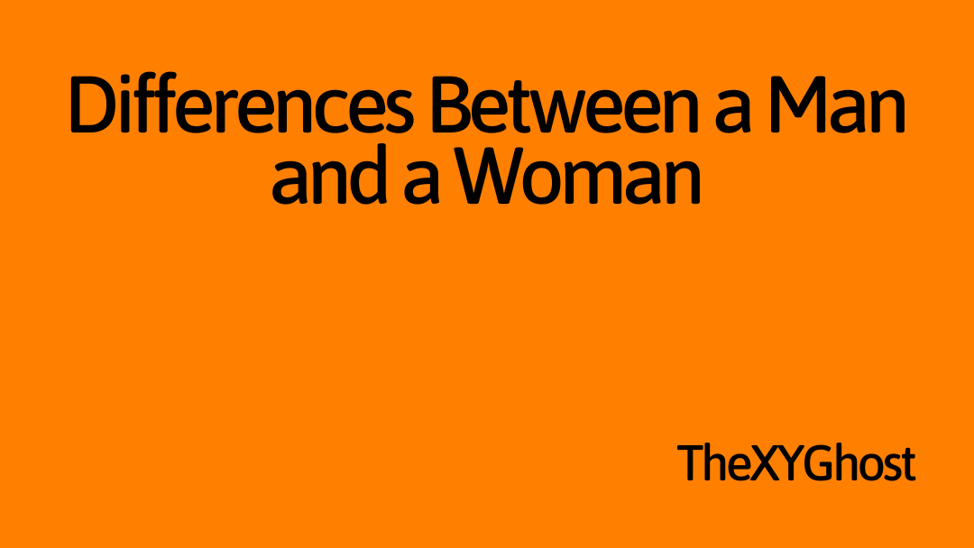 Differences Between a Man and a Woman