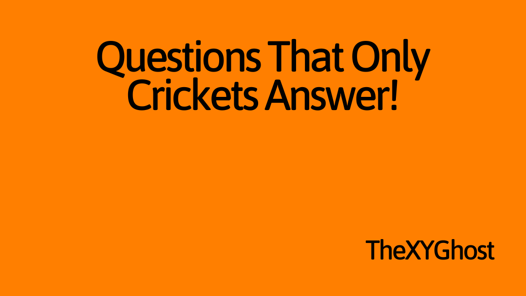 Questions That Only Crickets Answer!