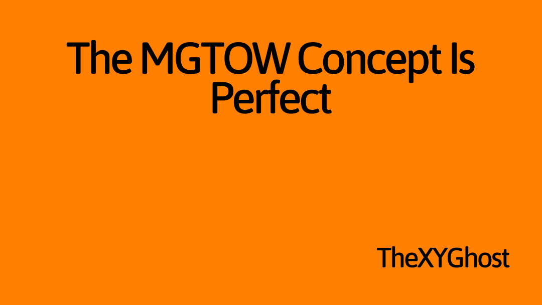 The MGTOW Concept Is Perfect